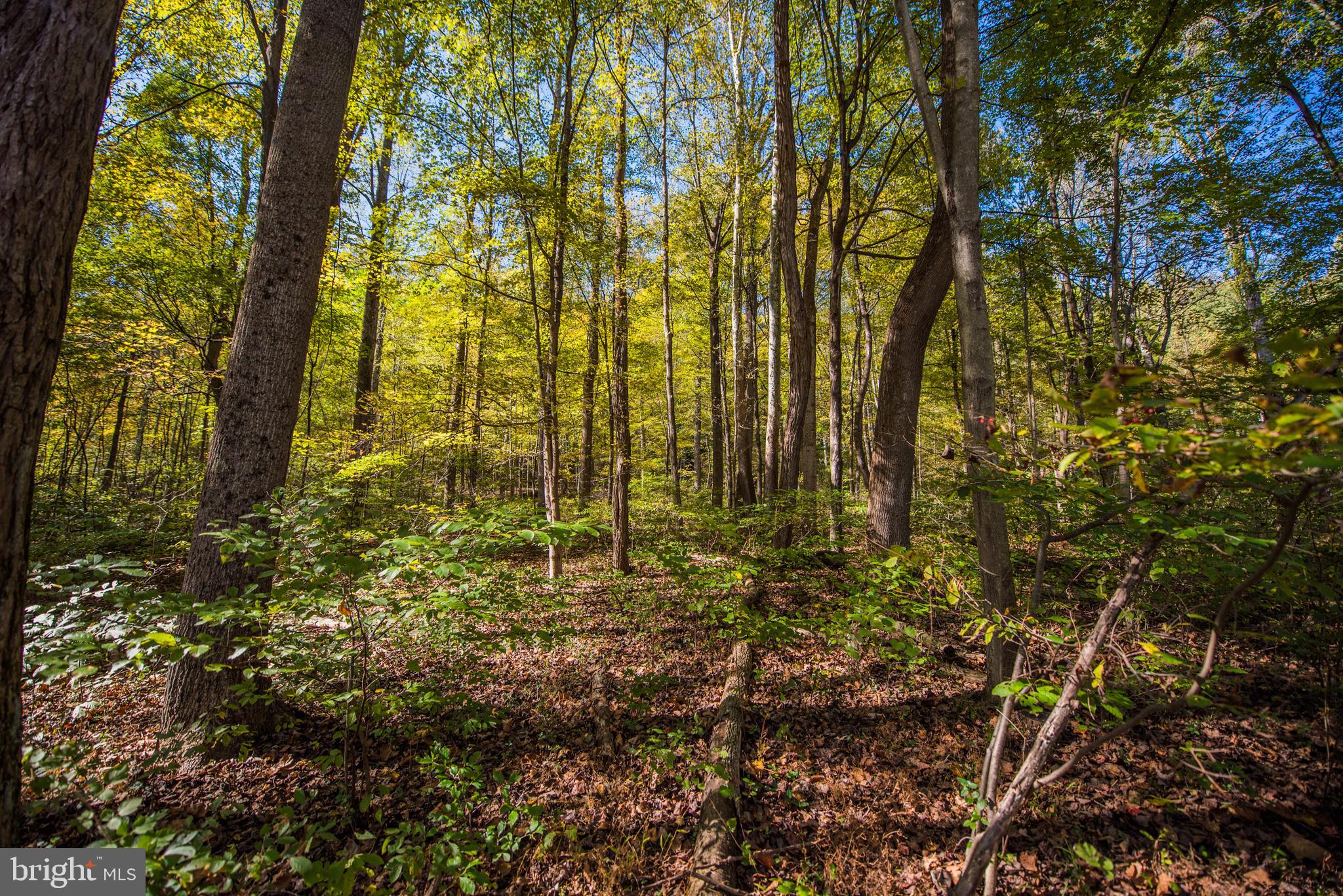 CACAPON RETREAT - Residential
