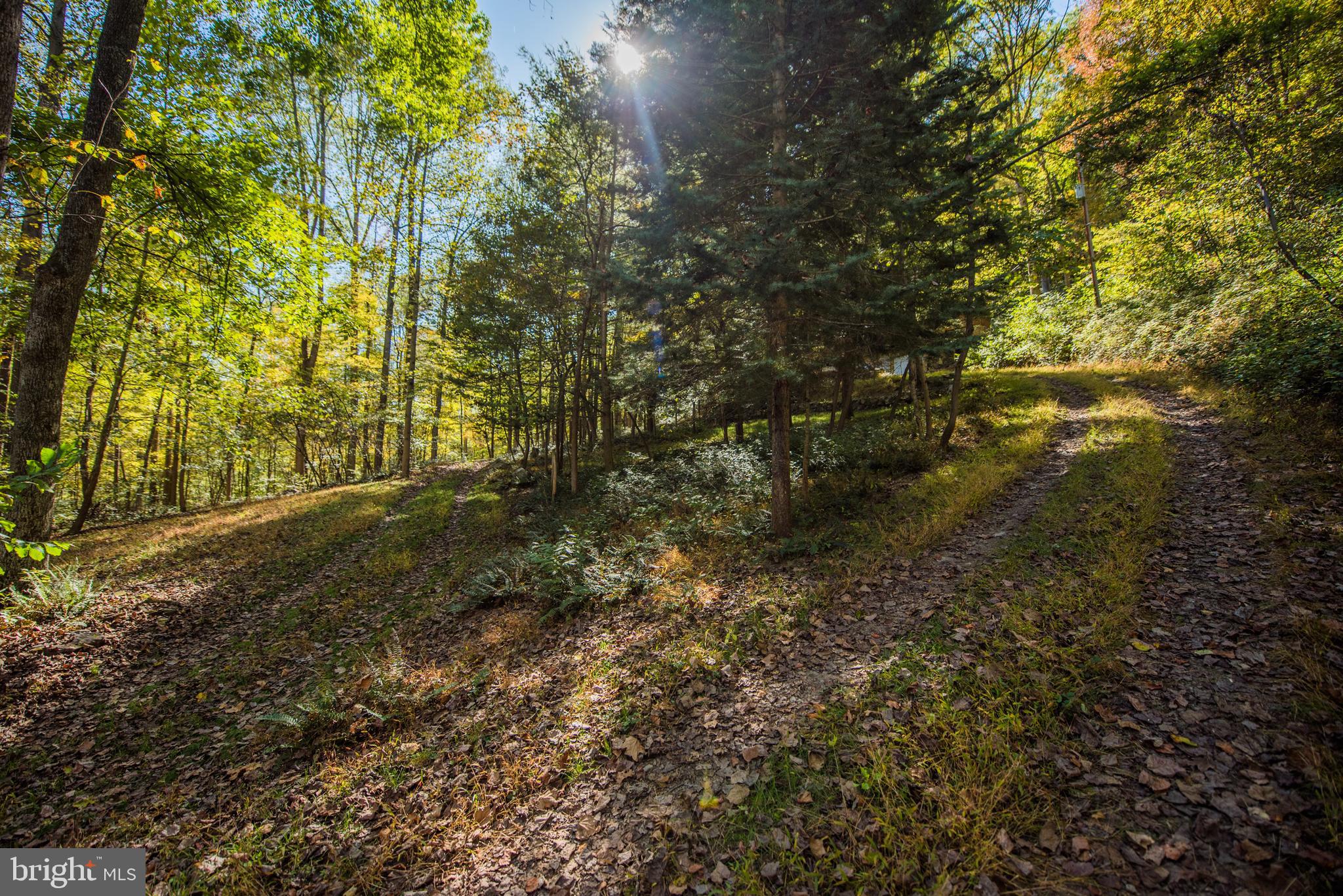 CACAPON RETREAT - Residential