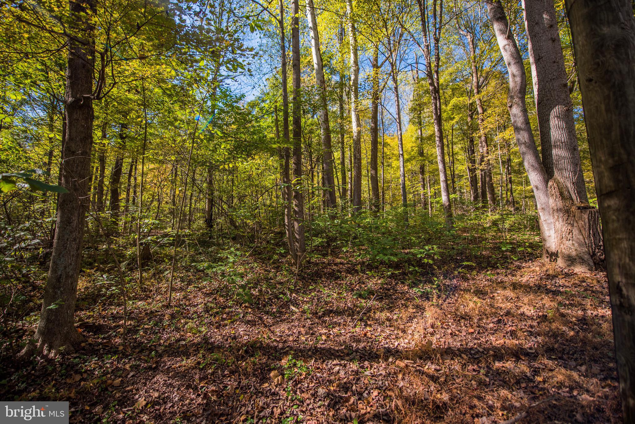 CACAPON RETREAT - Residential