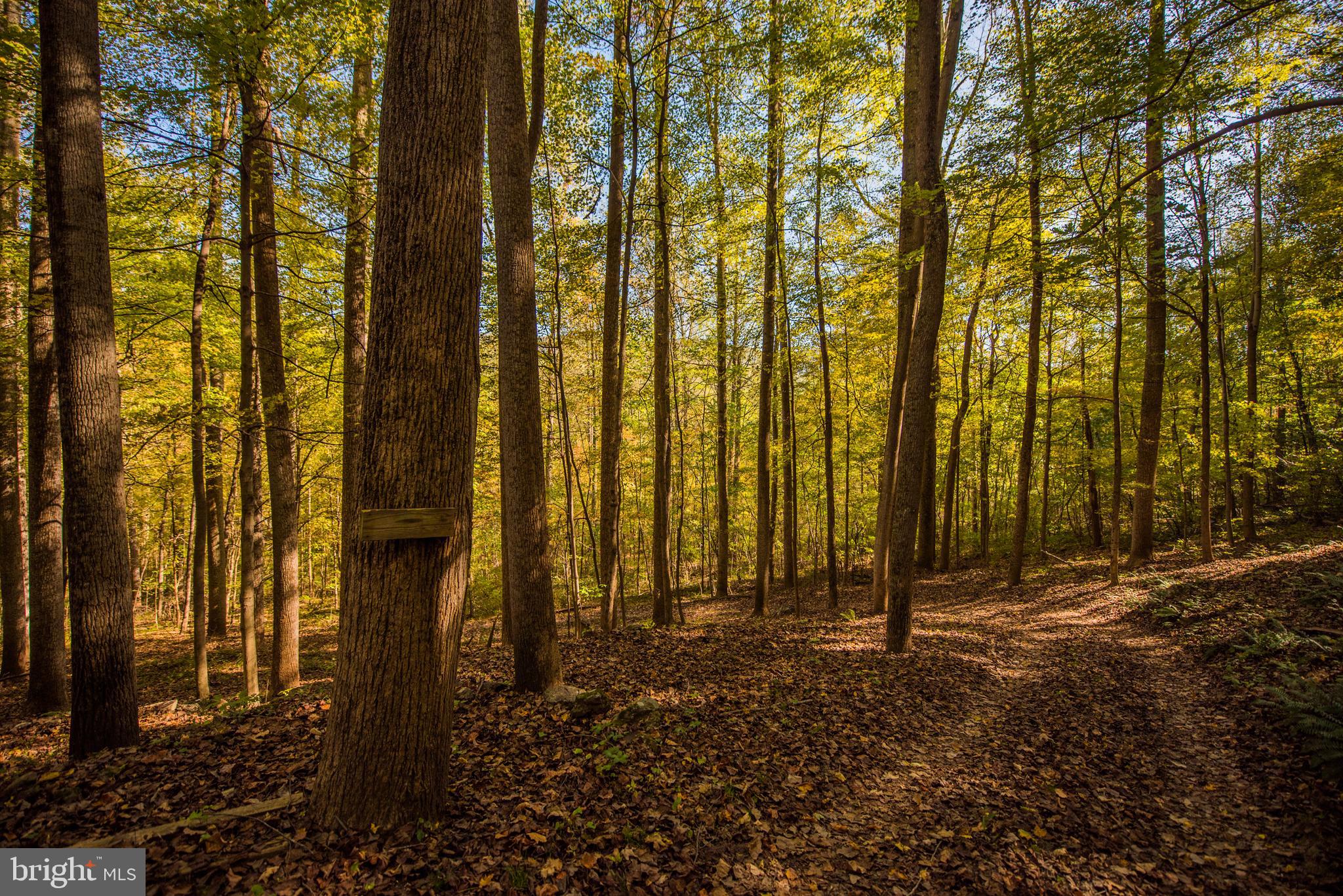 CACAPON RETREAT - Residential