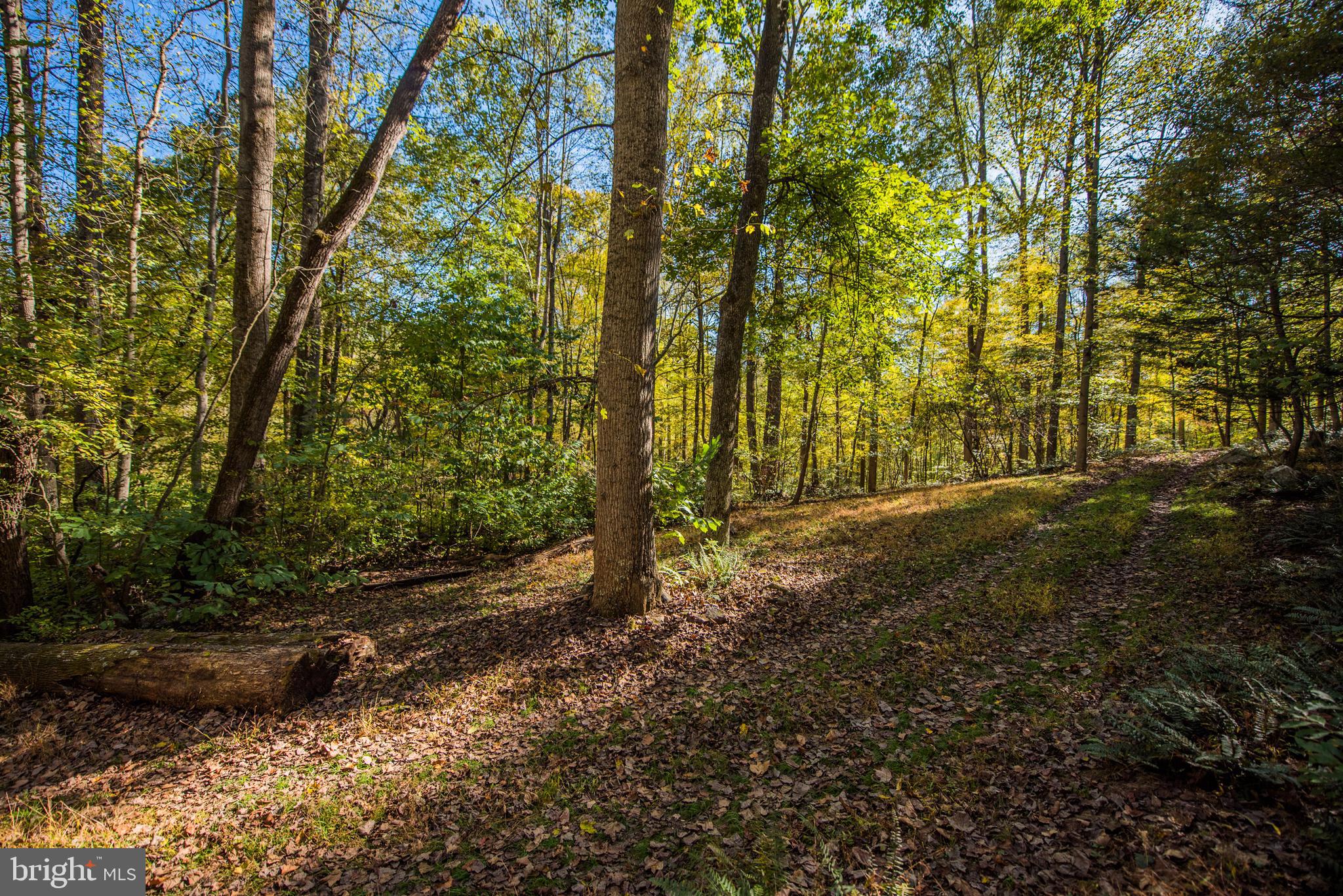 CACAPON RETREAT - Residential
