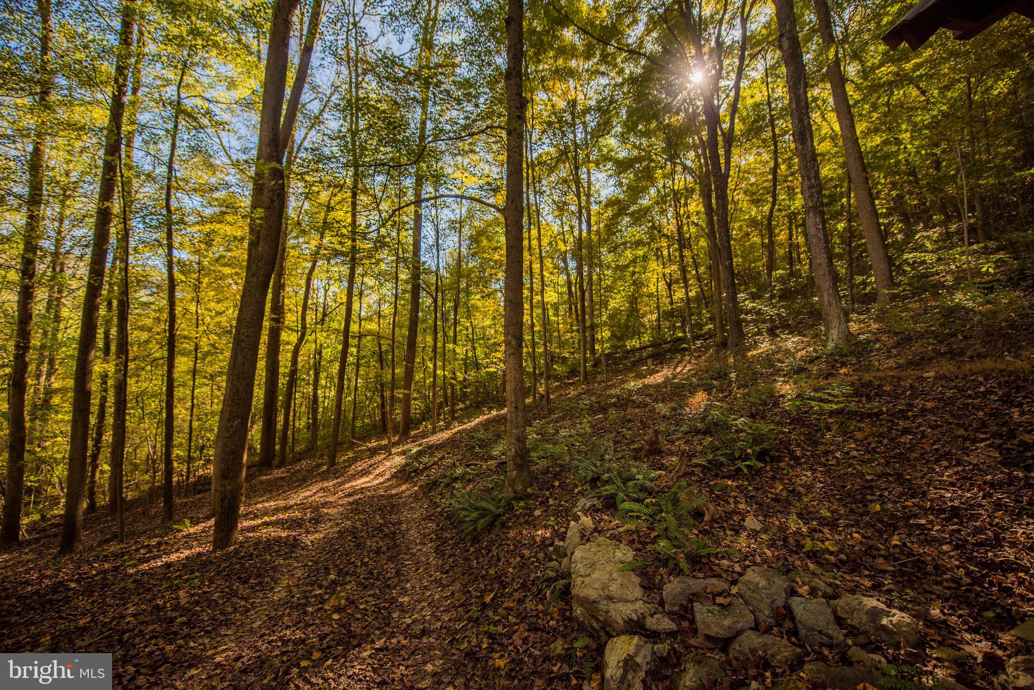 CACAPON RETREAT - Residential