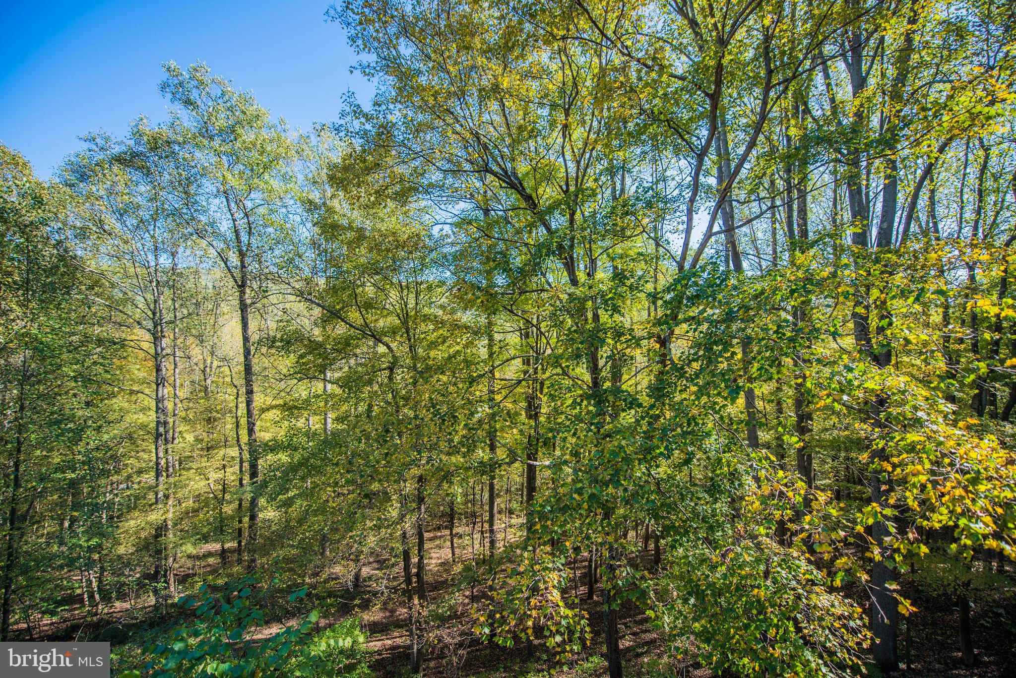 CACAPON RETREAT - Residential