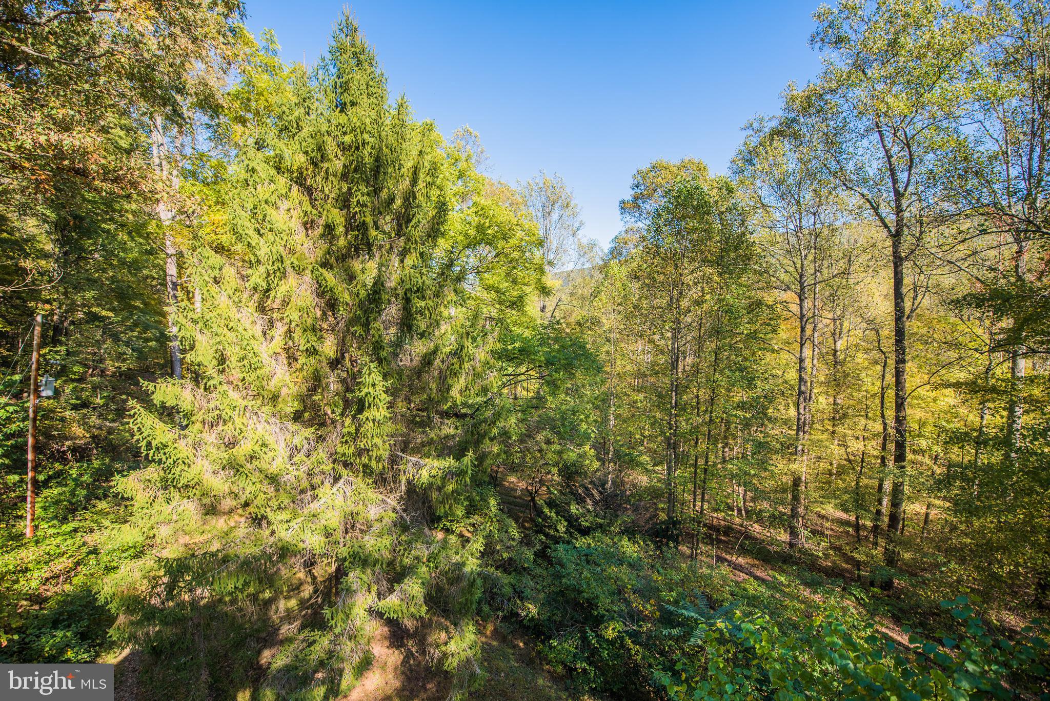 CACAPON RETREAT - Residential
