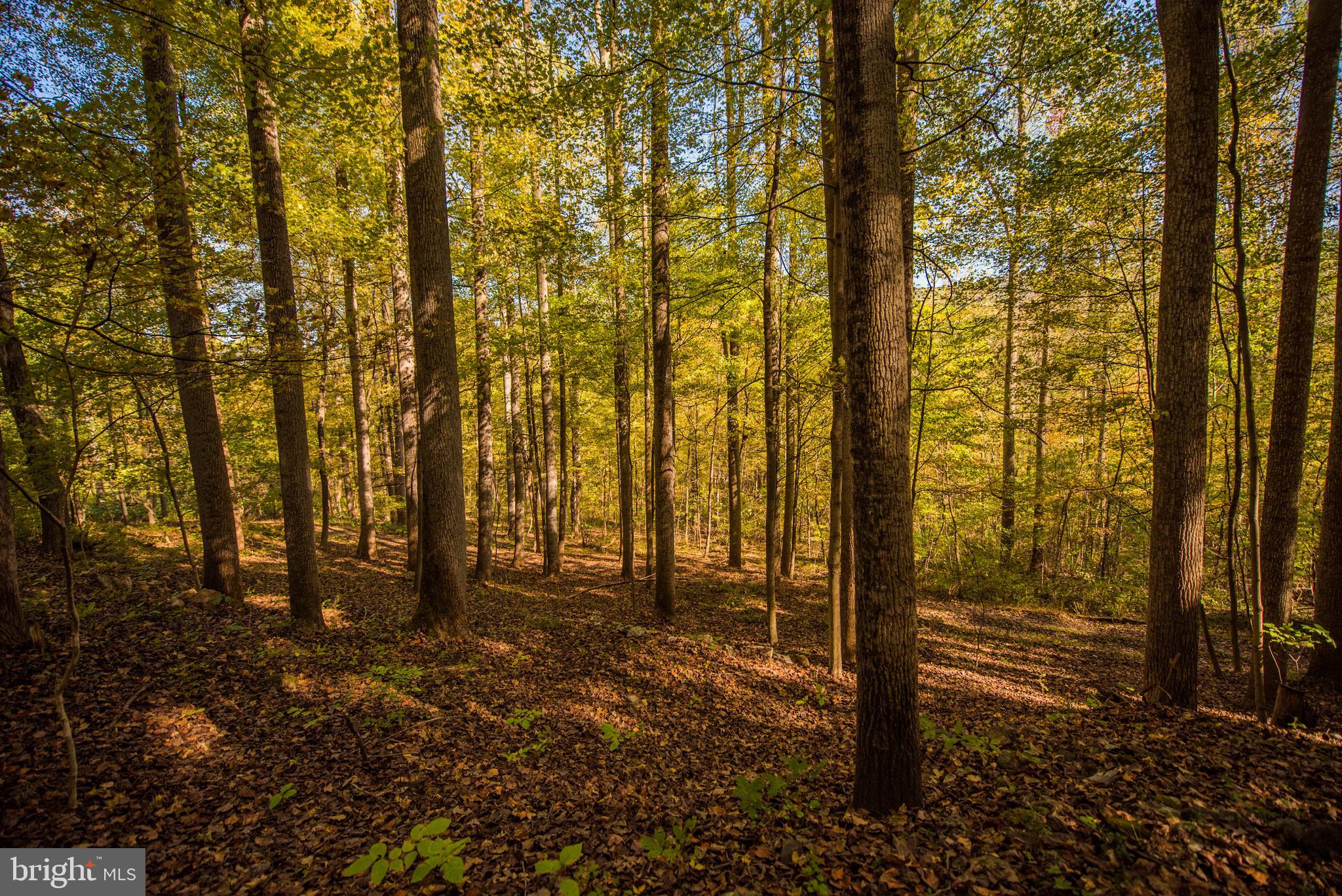 CACAPON RETREAT - Residential