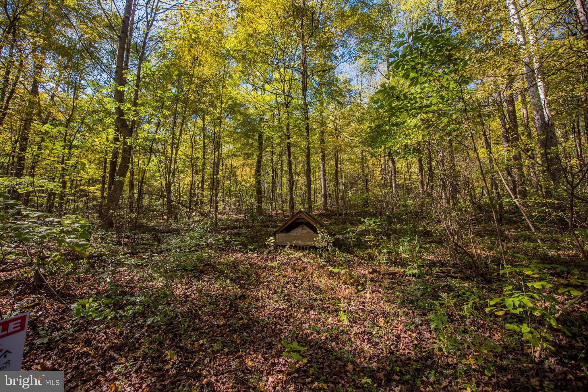 CACAPON RETREAT - Residential