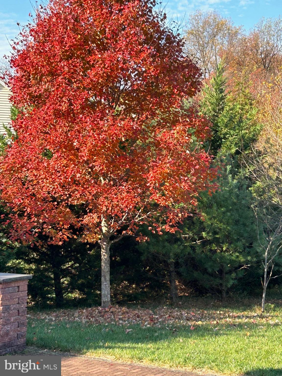 NORTHERN ESTATES - Residential