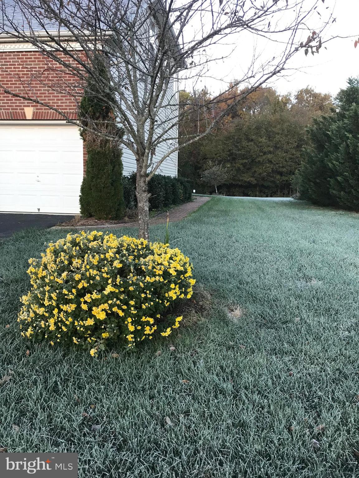 NORTHERN ESTATES - Residential