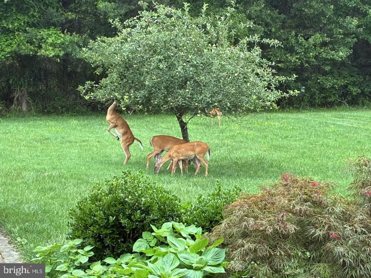 NORTHERN ESTATES - Residential