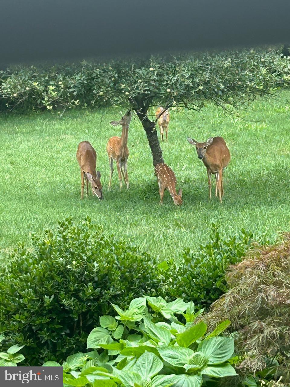 NORTHERN ESTATES - Residential