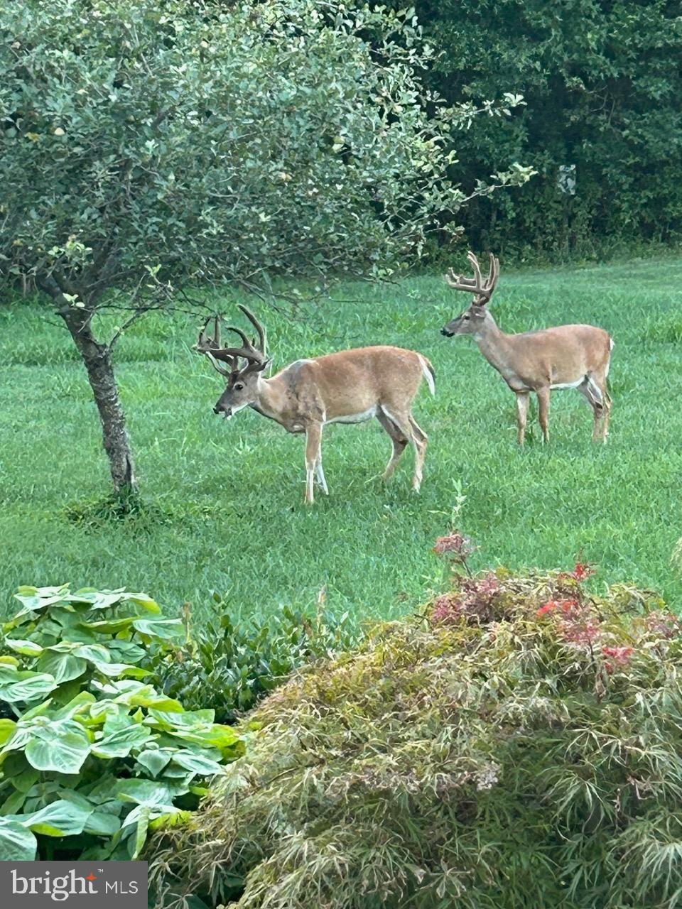 NORTHERN ESTATES - Residential