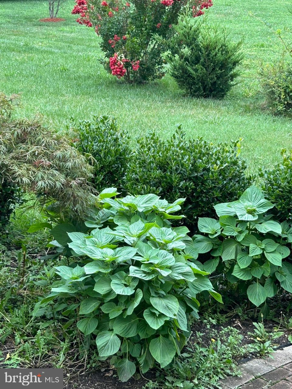 NORTHERN ESTATES - Residential