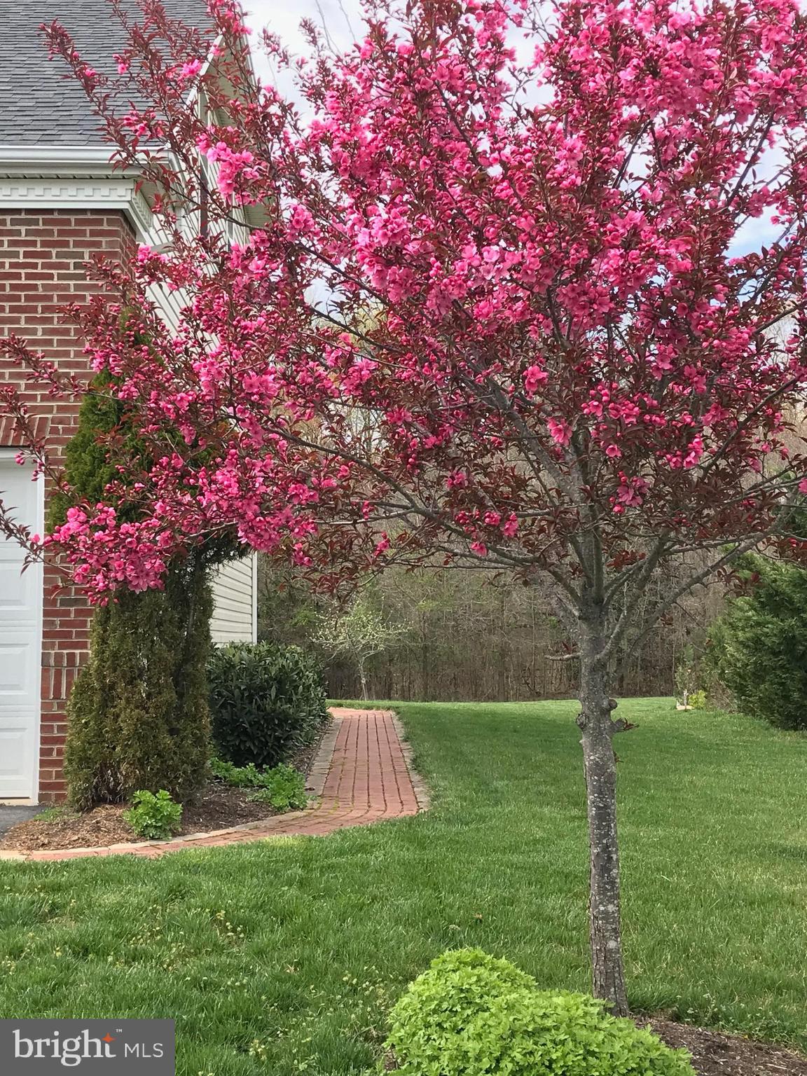 NORTHERN ESTATES - Residential