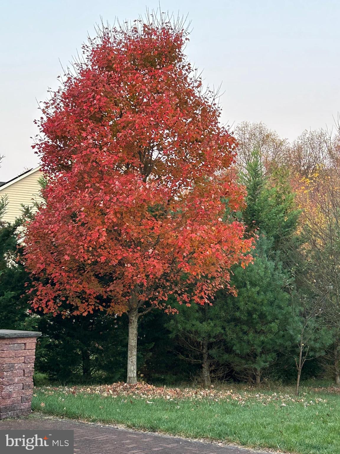 NORTHERN ESTATES - Residential