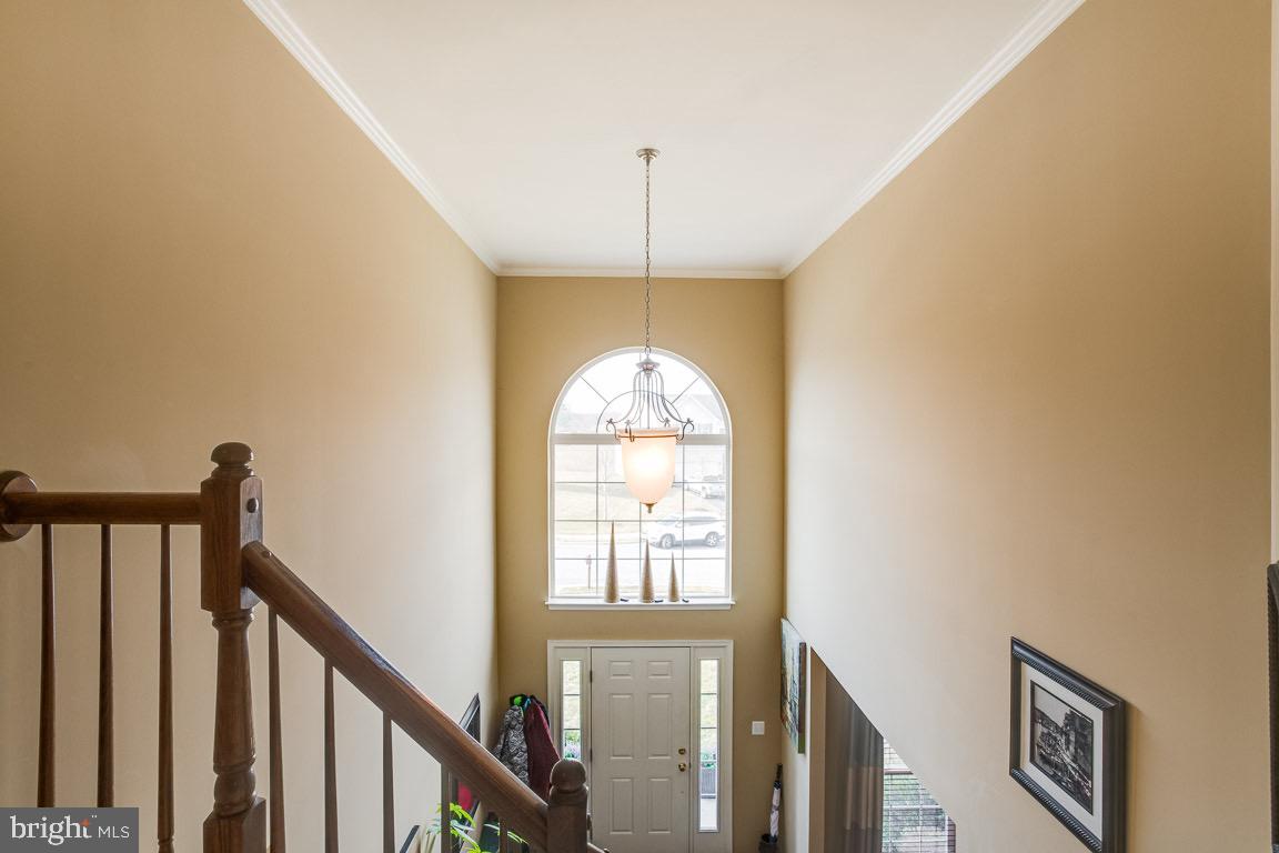 RED BUD RUN - Residential