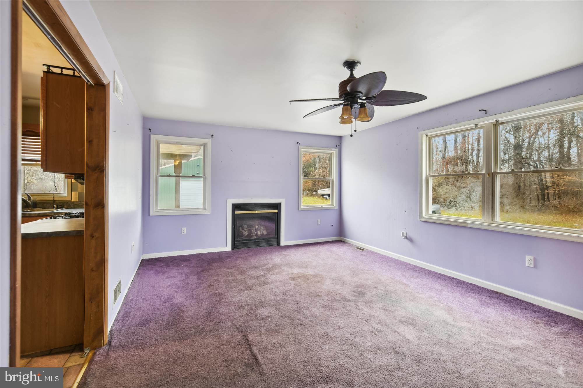 CHESAPEAKE CITY - Residential