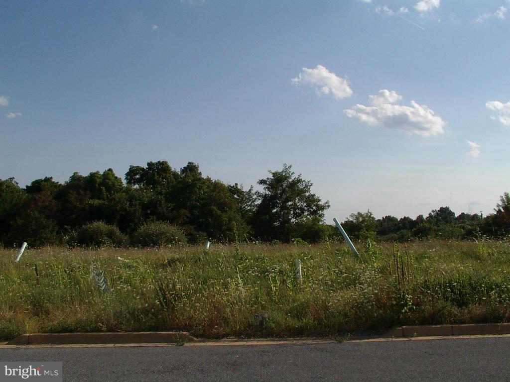 THE GALLERY - Residential