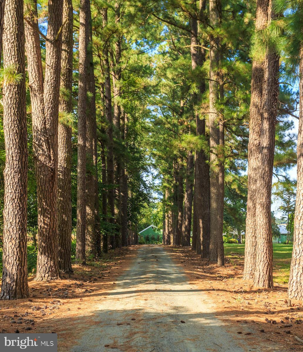 KENTMORE PARK - Residential