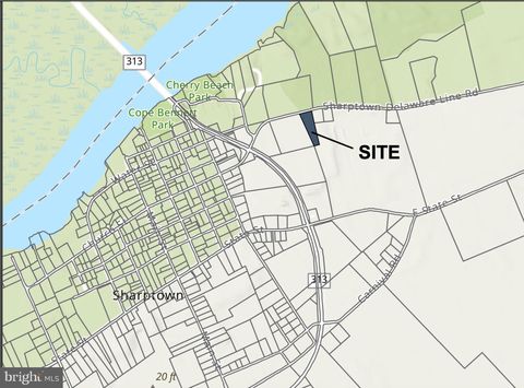 Vacant Land For Sale - Sharptown Line Road<br/> SHARPTOWN, MD 21861