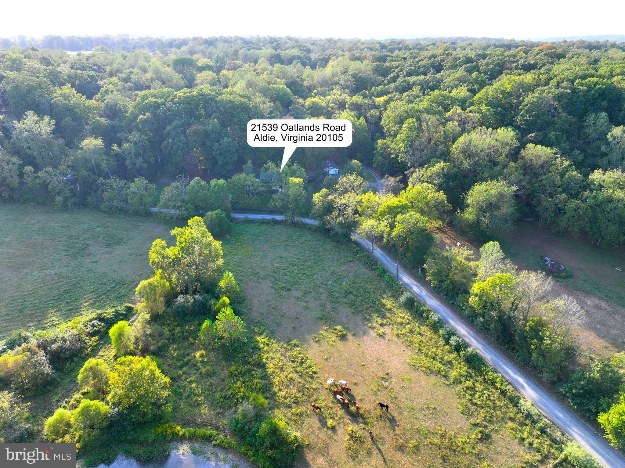 OATLANDS - Residential