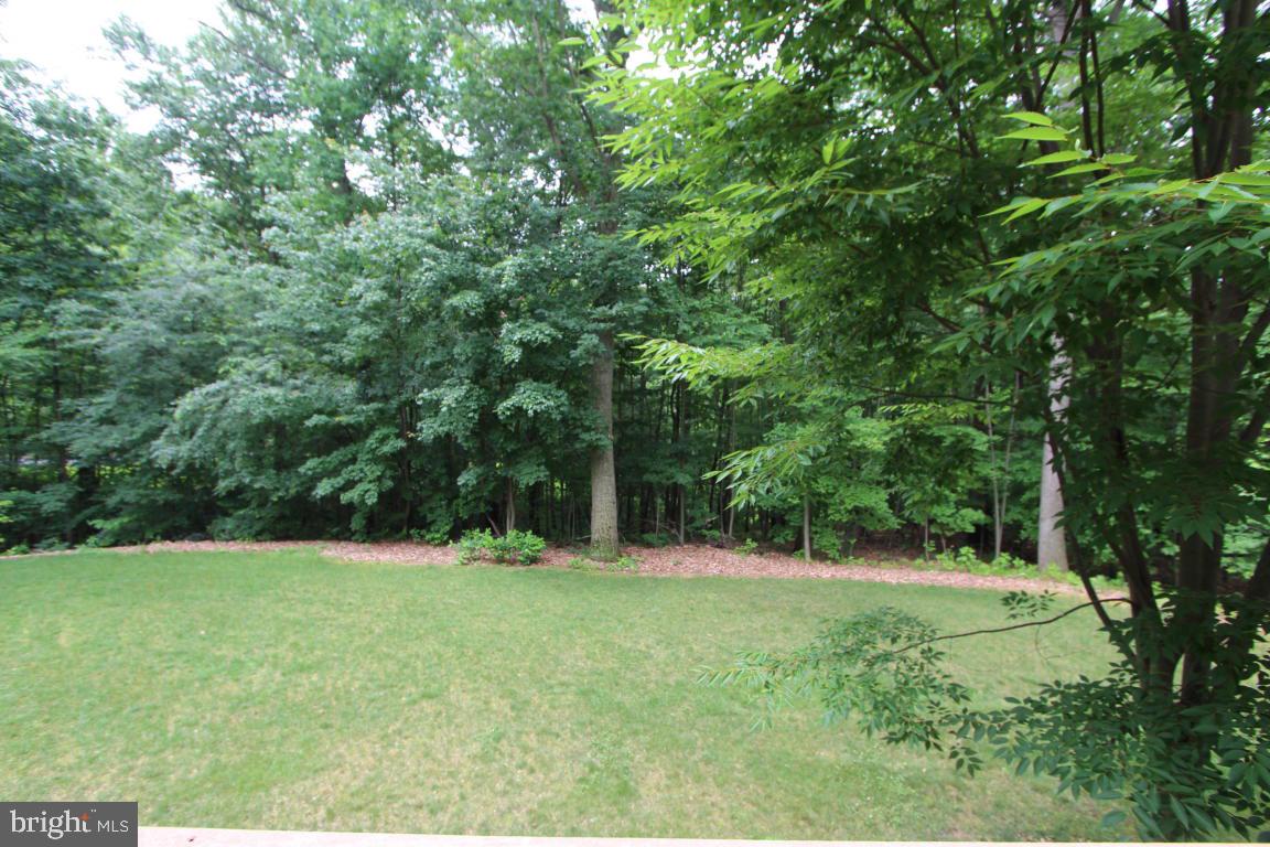 BUCK RUN ESTATES - Residential Lease
