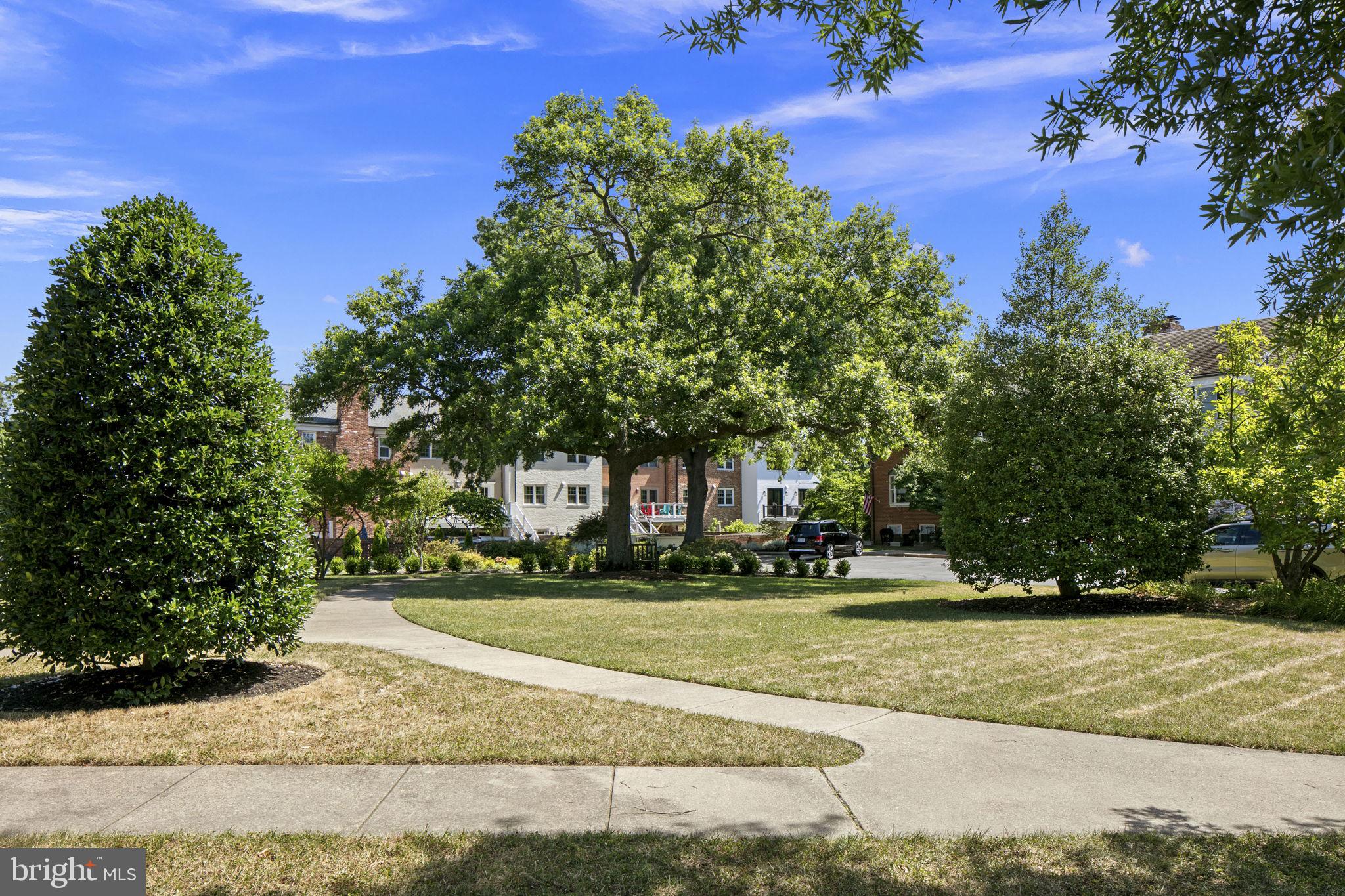 OLDE BELHAVEN TOWNE - Residential