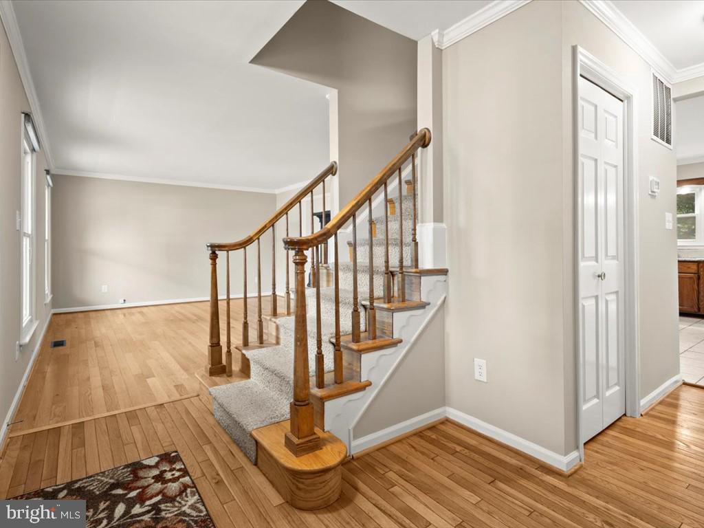 LITTLE ROCKY RUN - Residential