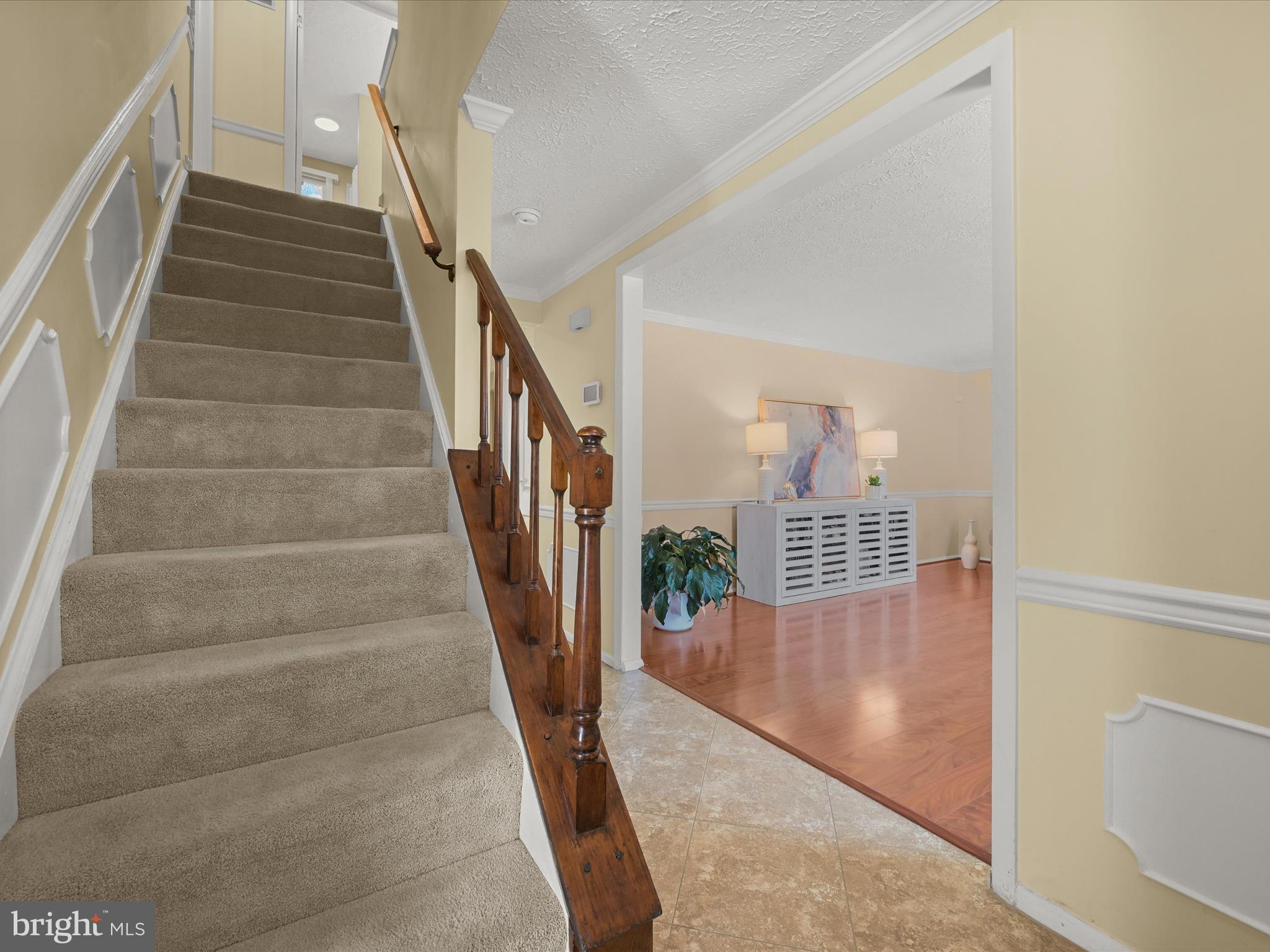 CARDINAL FOREST - Residential