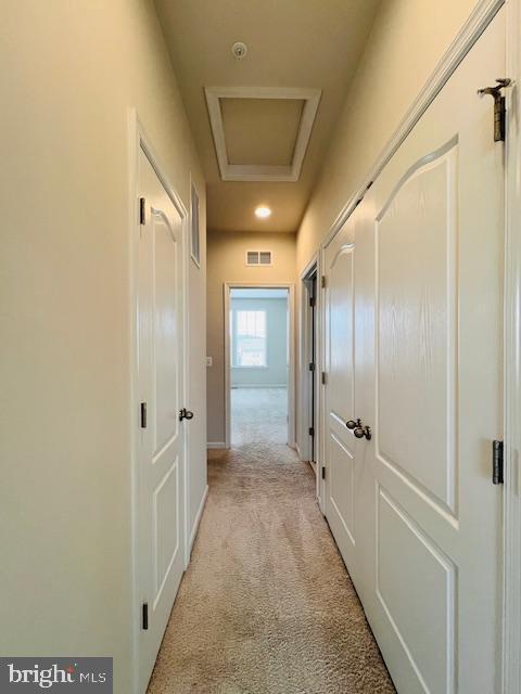 HARRINGTON TERRACE - Residential Lease