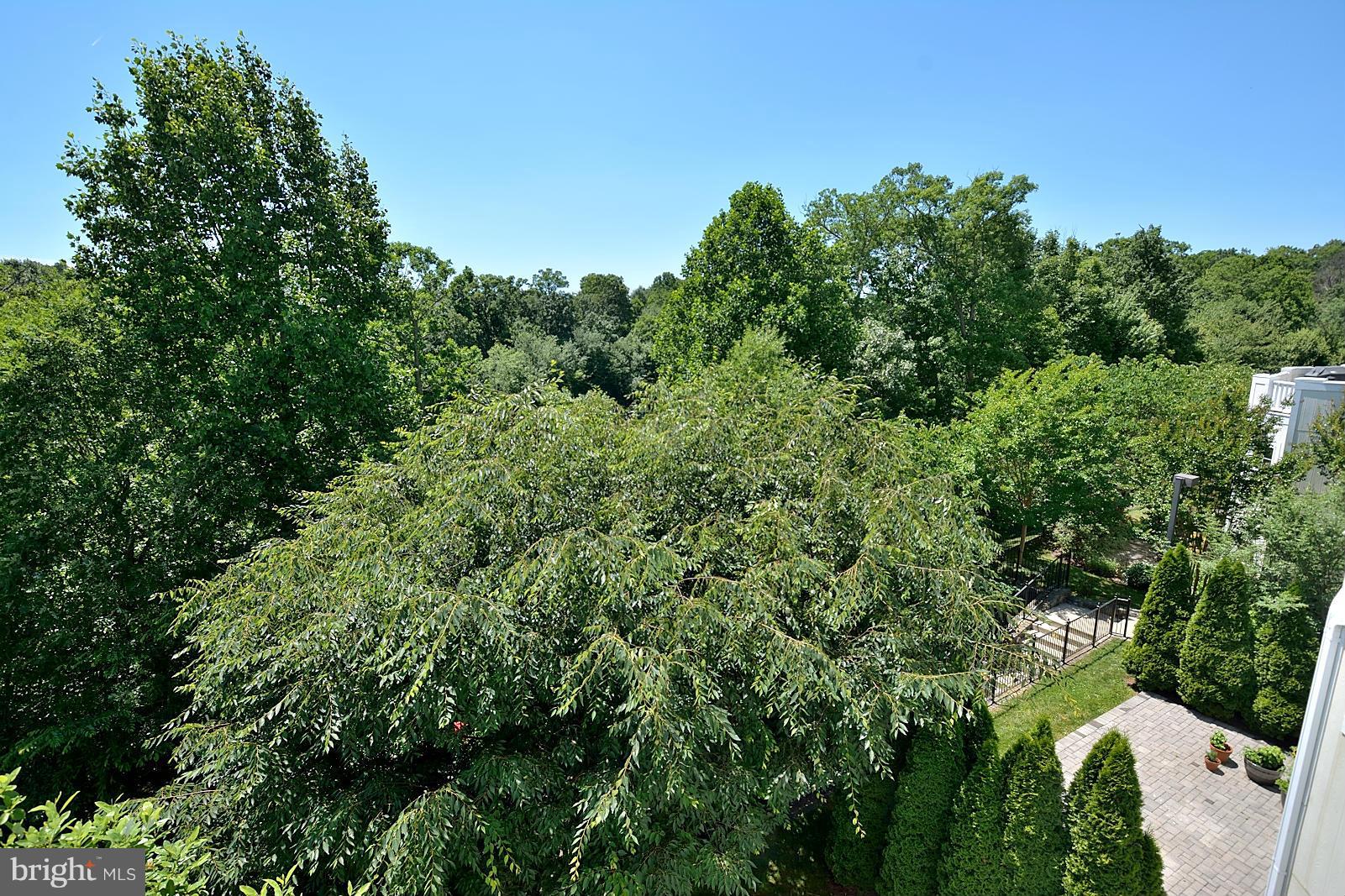 BEACON HILL - Residential Lease