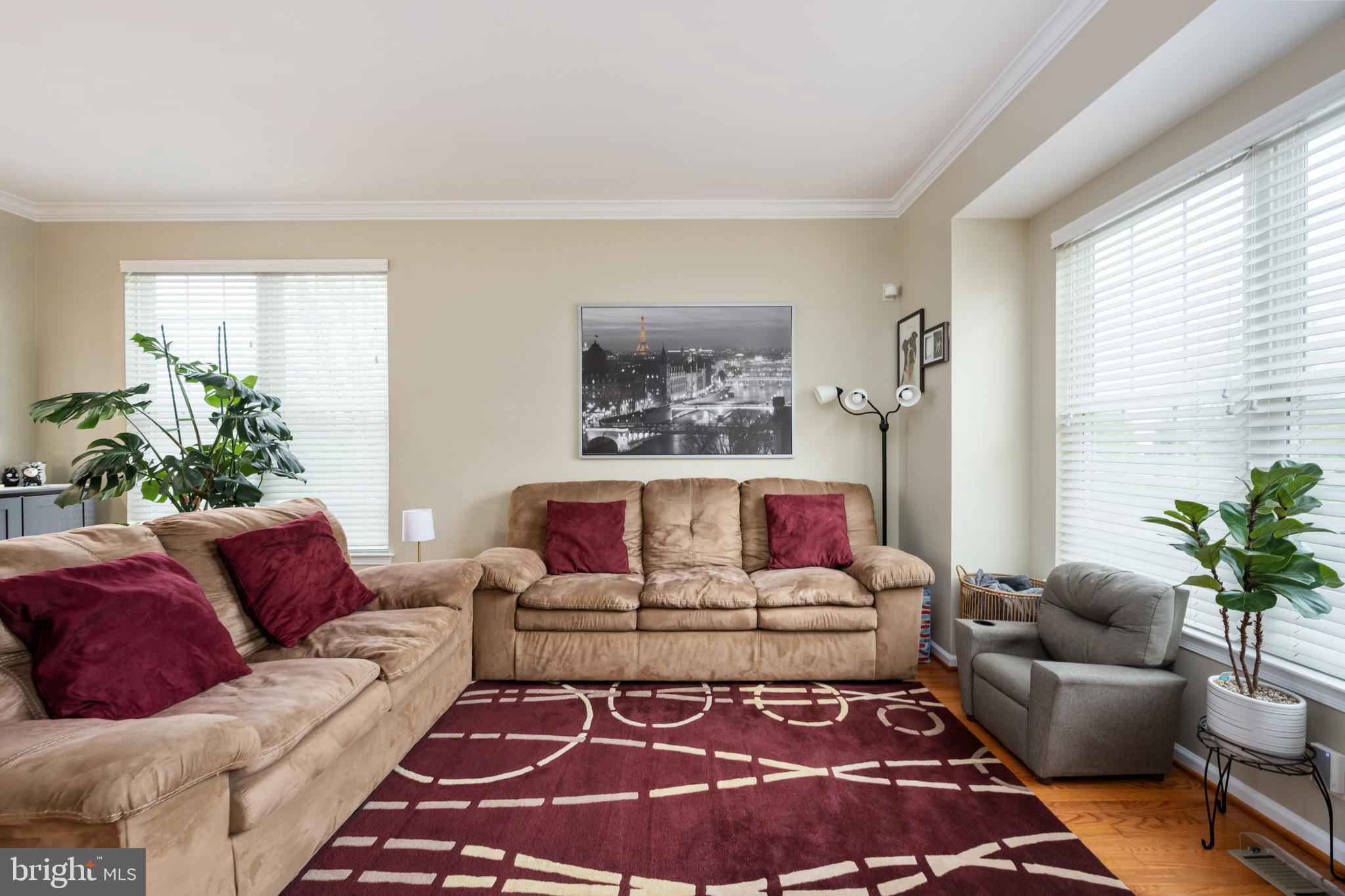 AMBERLEA AT SOUTH RIDING - Residential