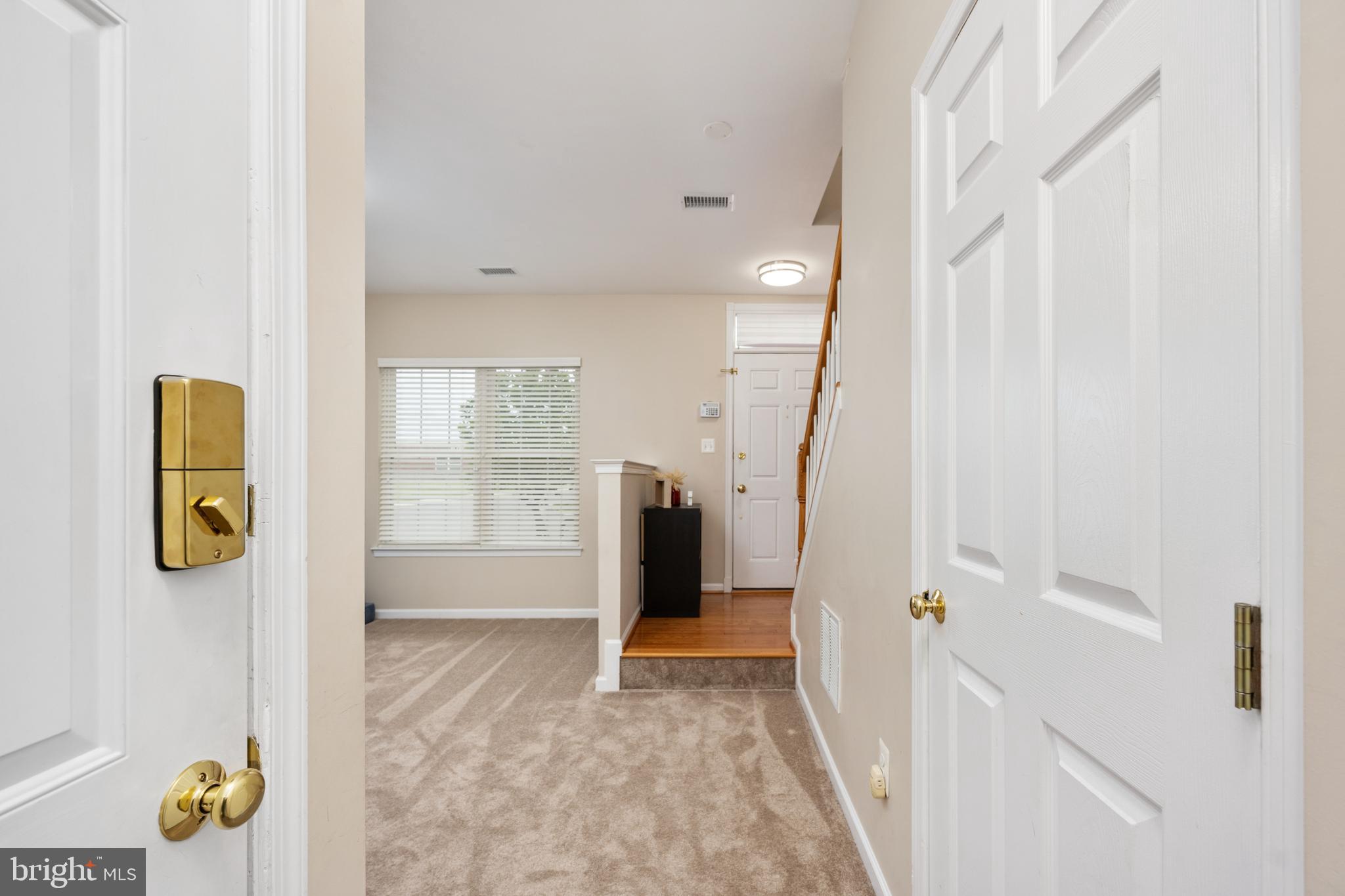 AMBERLEA AT SOUTH RIDING - Residential