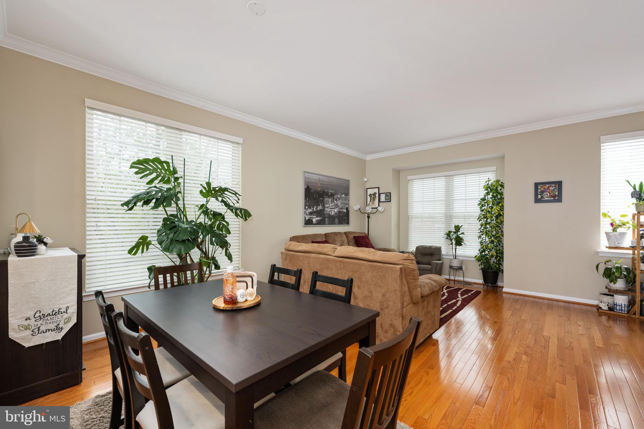 AMBERLEA AT SOUTH RIDING - Residential