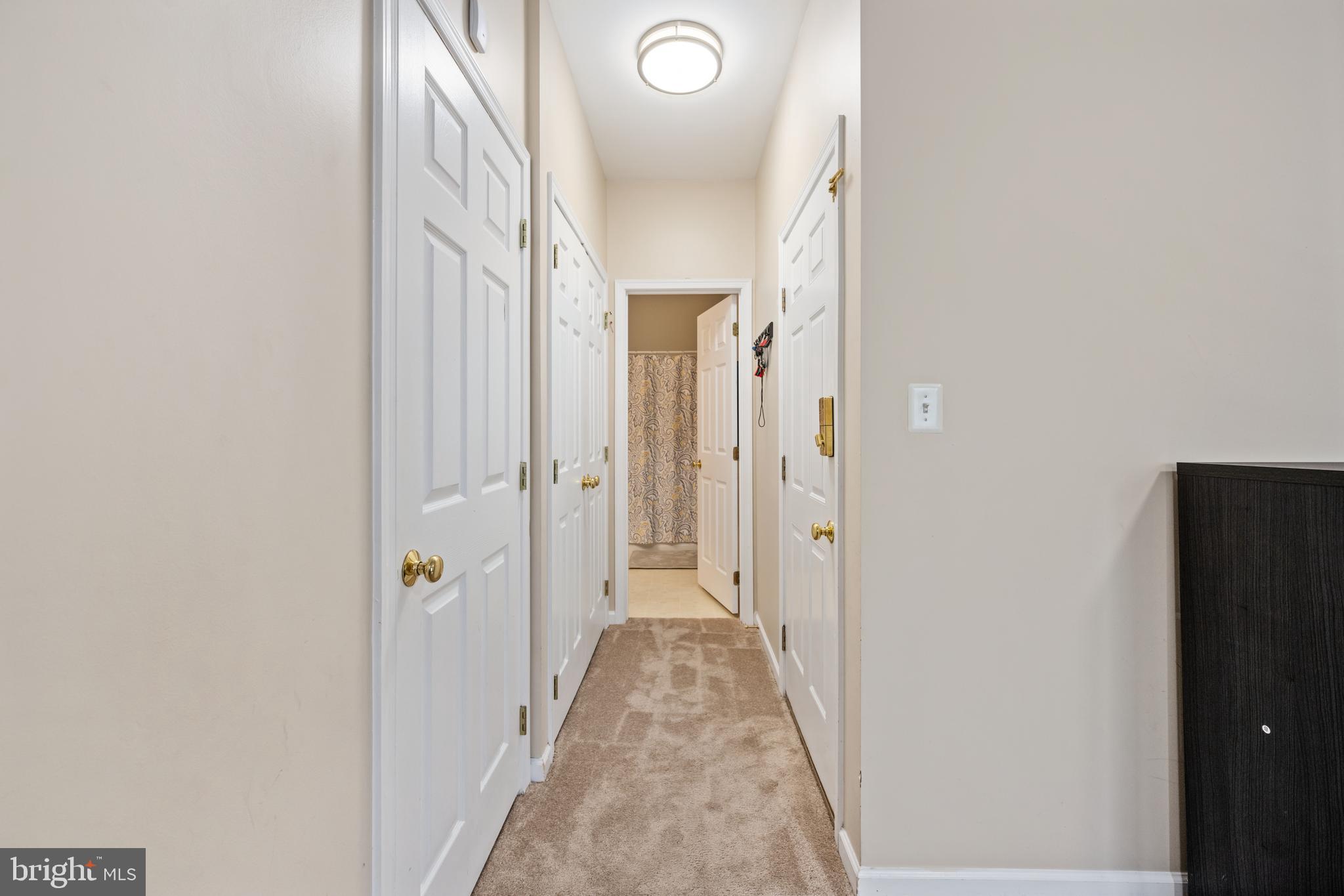 AMBERLEA AT SOUTH RIDING - Residential