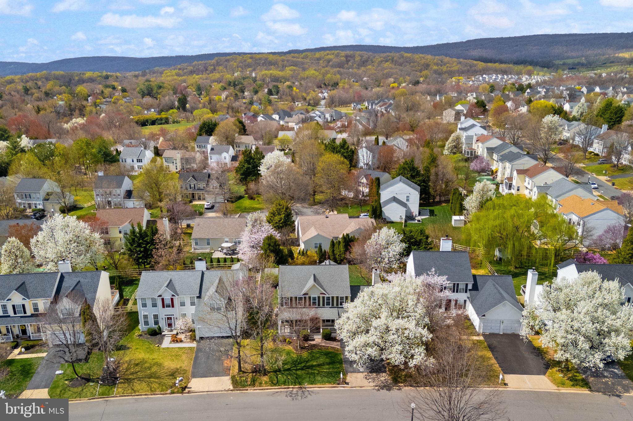ROUND HILL - Residential