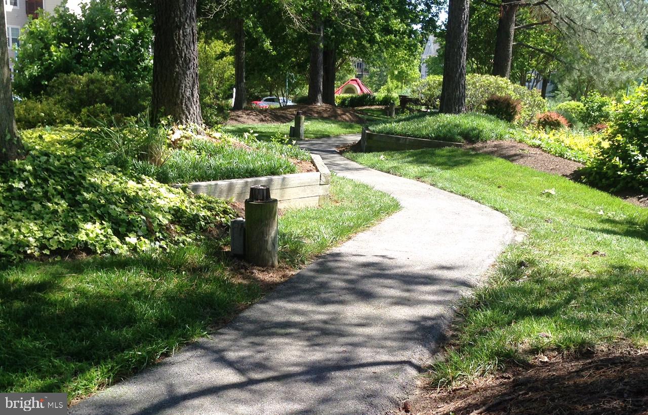 SOLOMONS LANDING - Residential