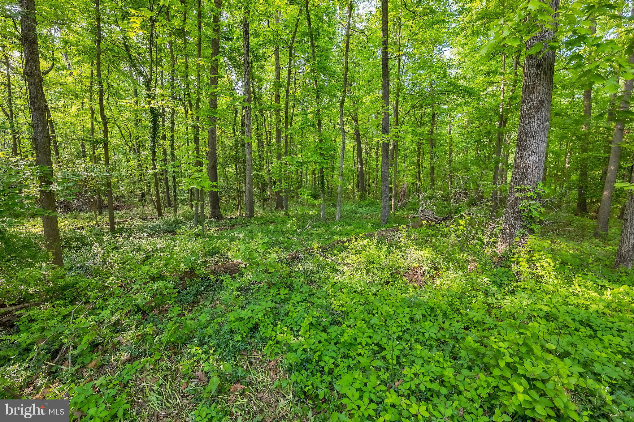 GREENBELT HOMES - Residential