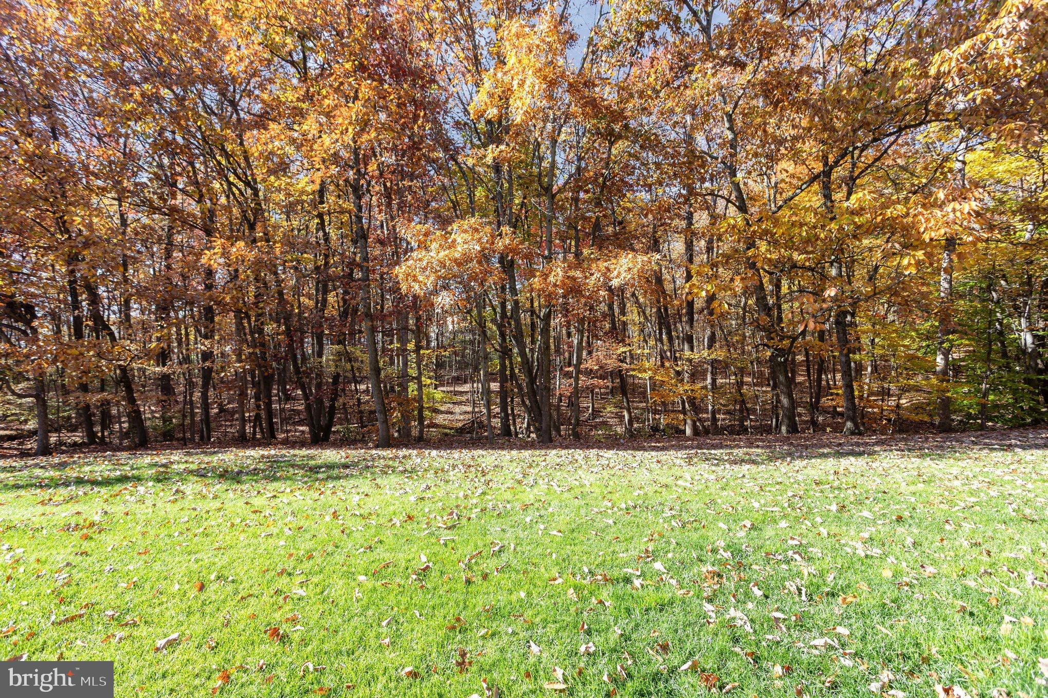PERRY BROOK CONDOMINIUMS - Residential