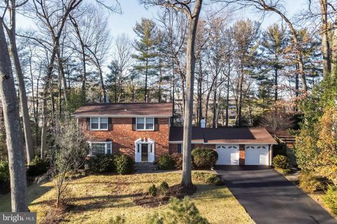 10808 WINTER CORN LANE RESTON VA 20191