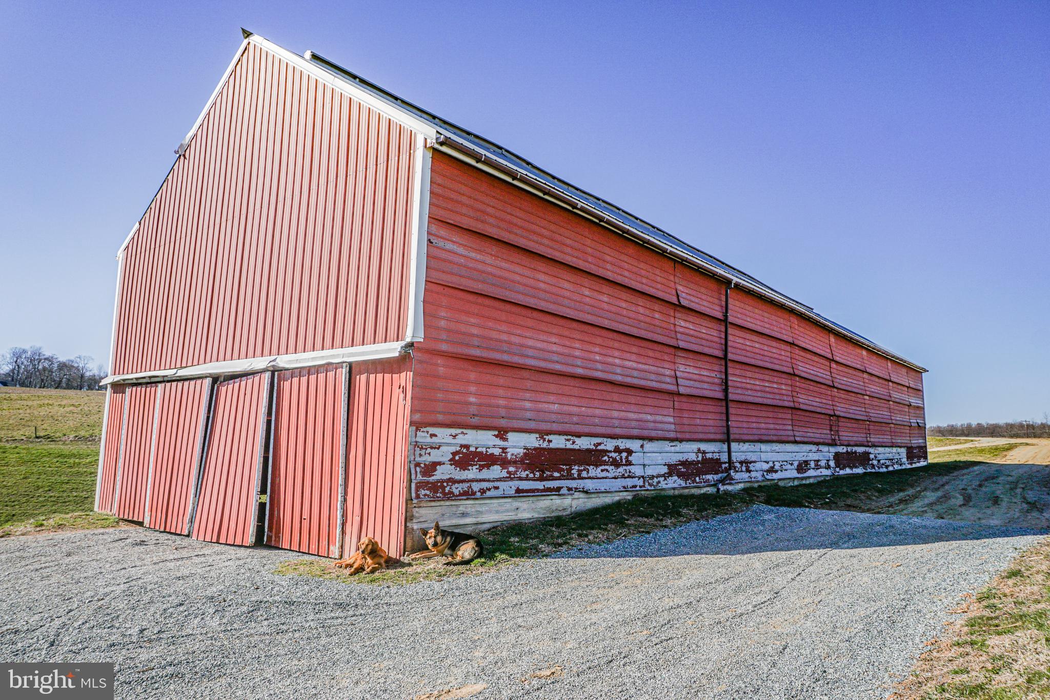 NONE AVAILABLE - Farm