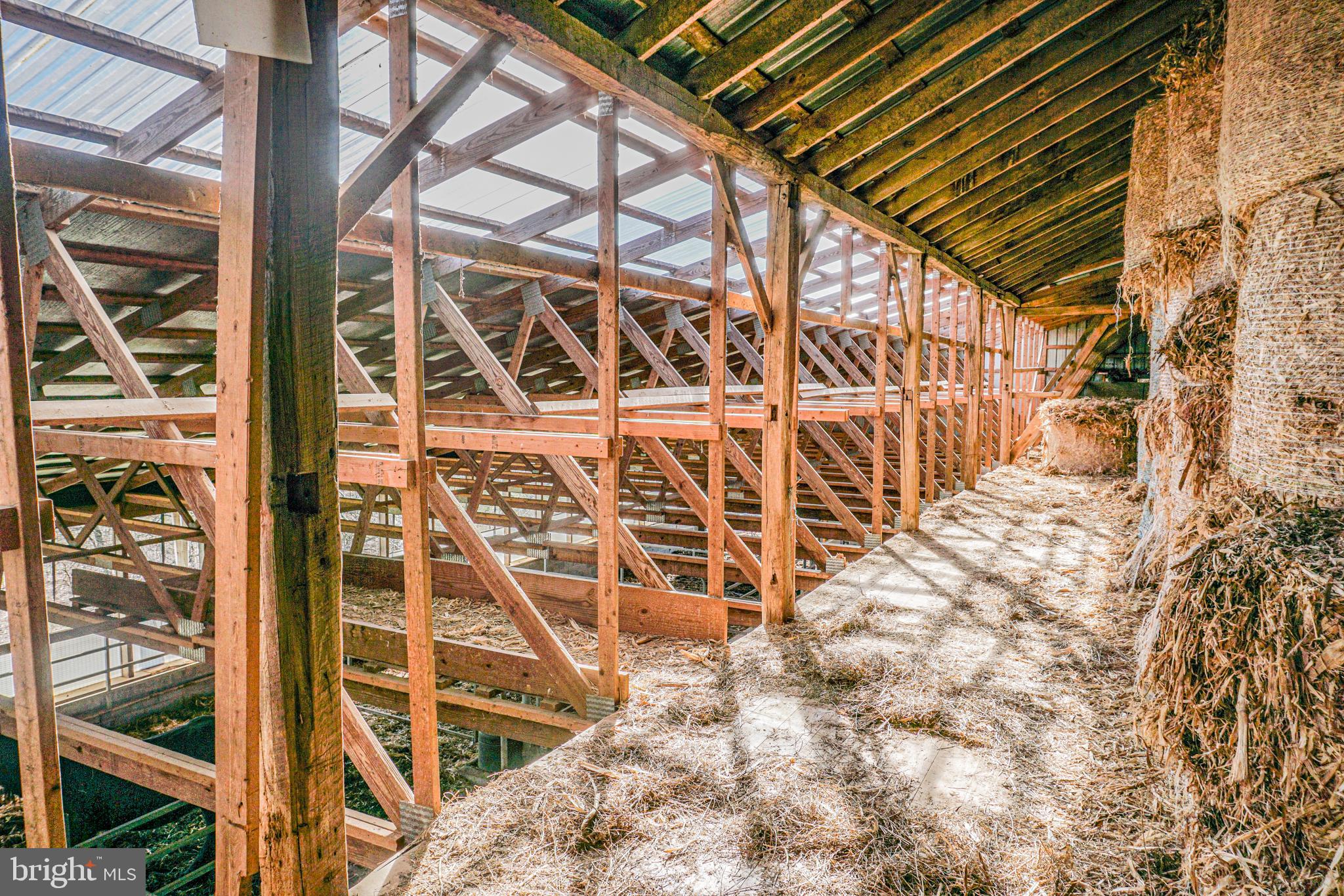 NONE AVAILABLE - Farm