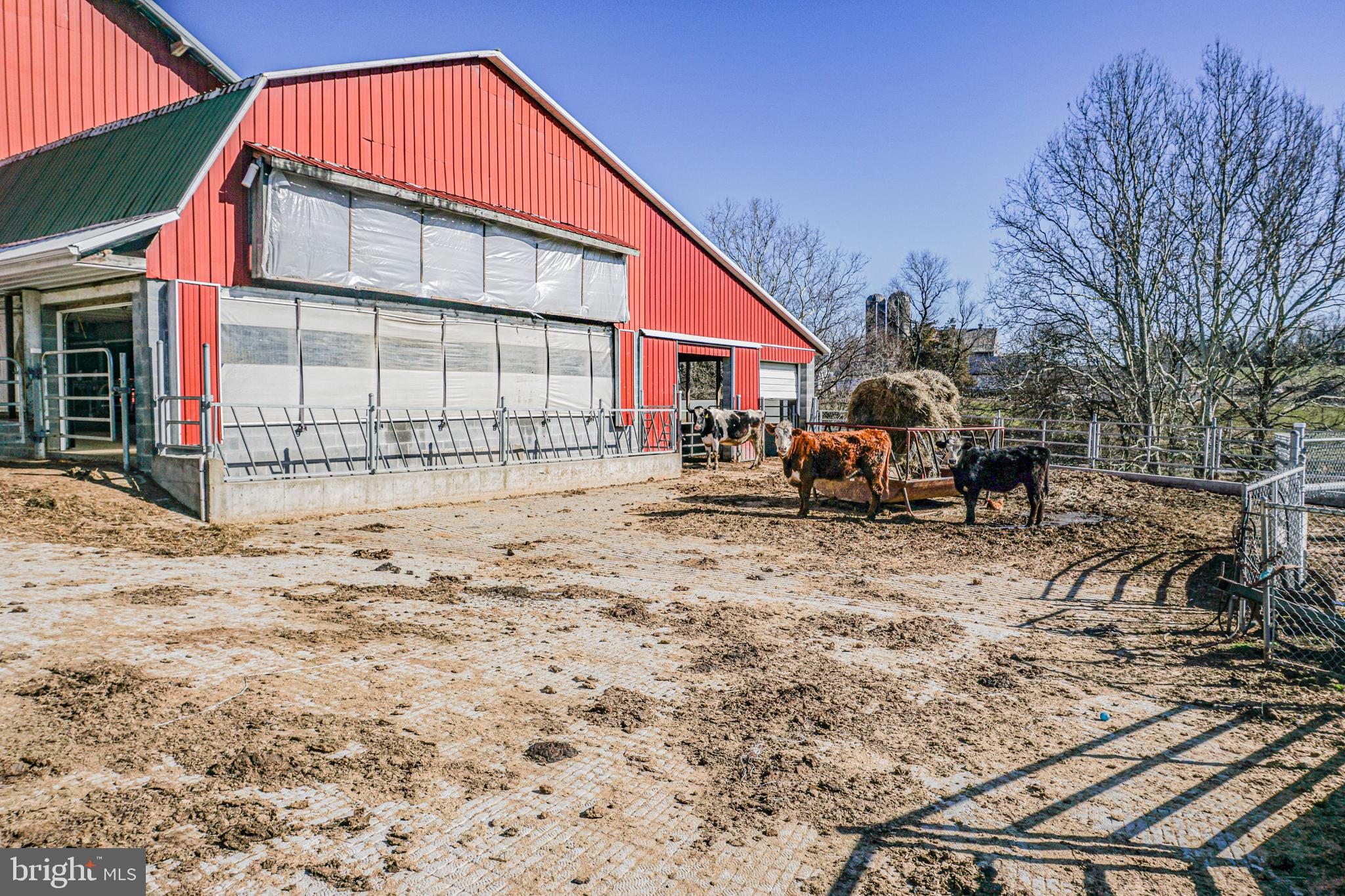 NONE AVAILABLE - Farm