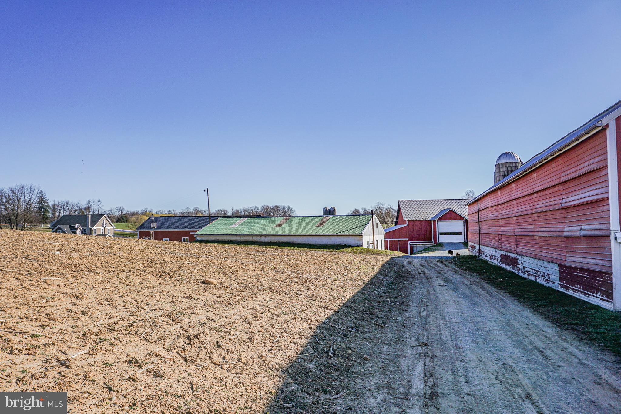 NONE AVAILABLE - Farm