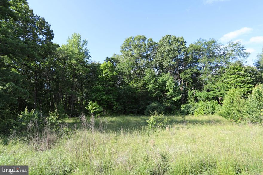 Gorgeous 5+ Acre Lot! Close to town and offering so many options! 2 Lots in 1!  County Planning and Zoning has indicated that the lot can be divided via a family division. Lot is level and boasts a blend of hardwoods and native trees.  Property is serviced via a private road - Turner Lane.  Minutes from all Culpeper has to offer, but miles from ordinary.  Natural Gas and Xfinity may be available. Owner currently in the process of conducting a perc test and locating two potential drain field sites. If you are looking for a lot with division potential in a more than convenient location, this parcel is simply not to be missed!!!