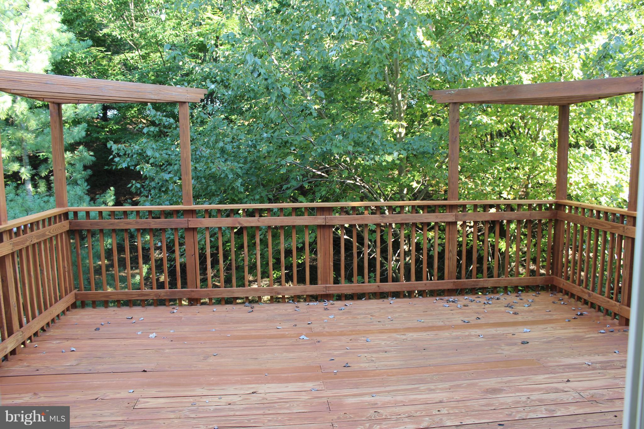 SNOWDEN RIDGE - Residential