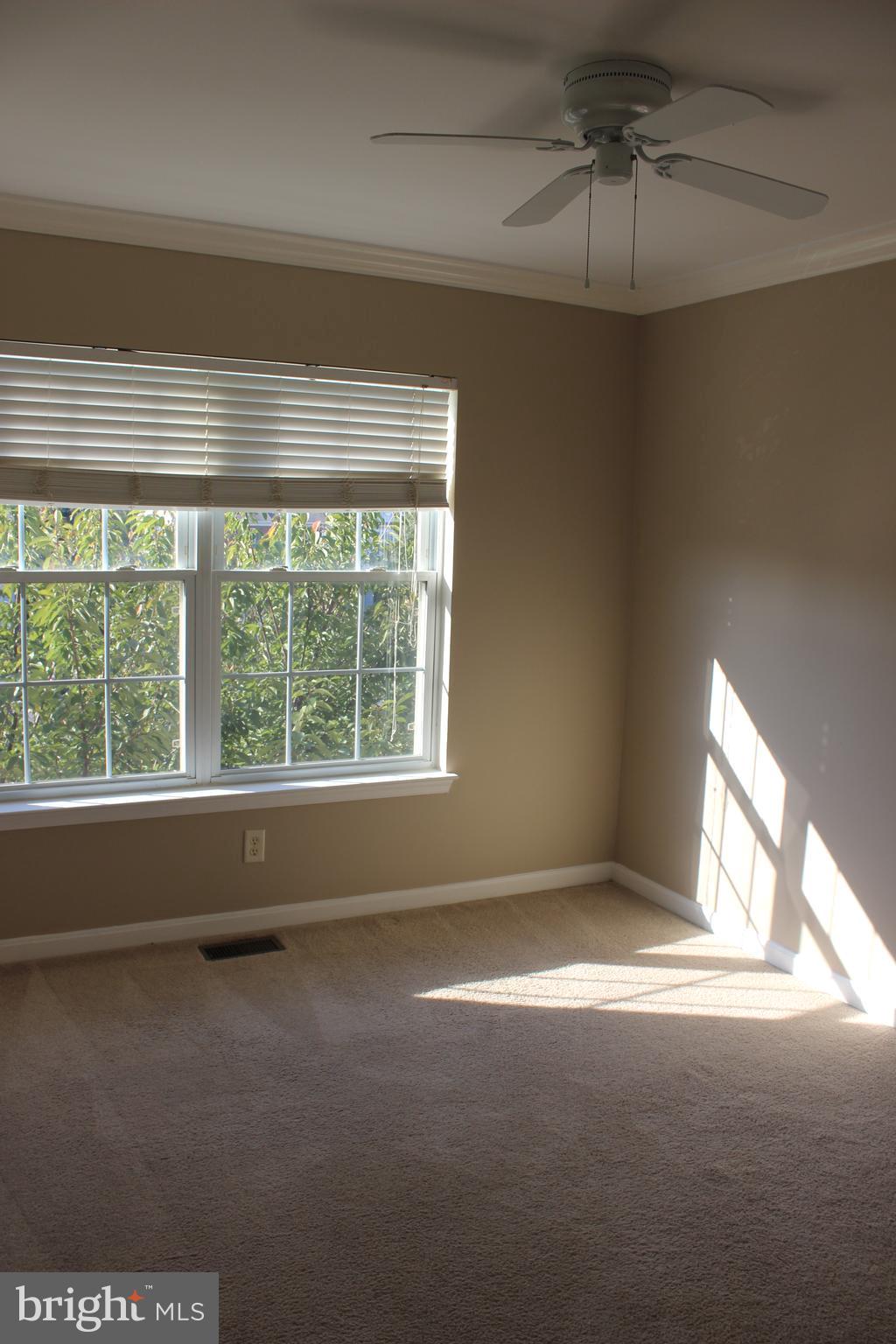 SNOWDEN RIDGE - Residential