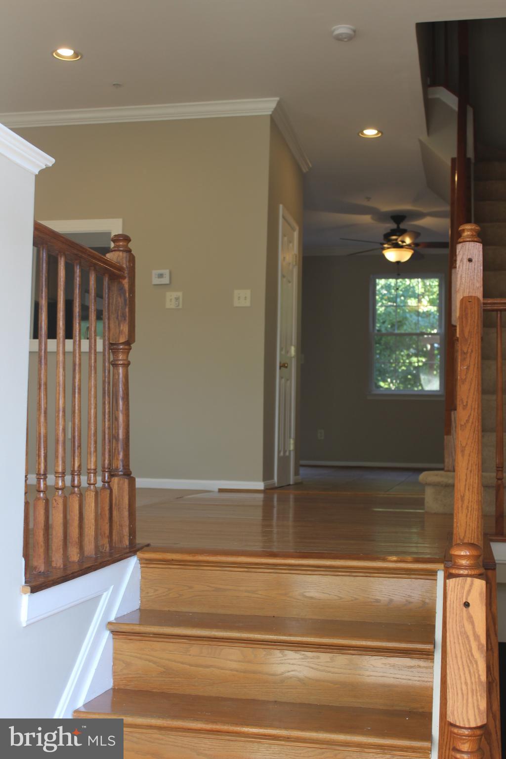 SNOWDEN RIDGE - Residential