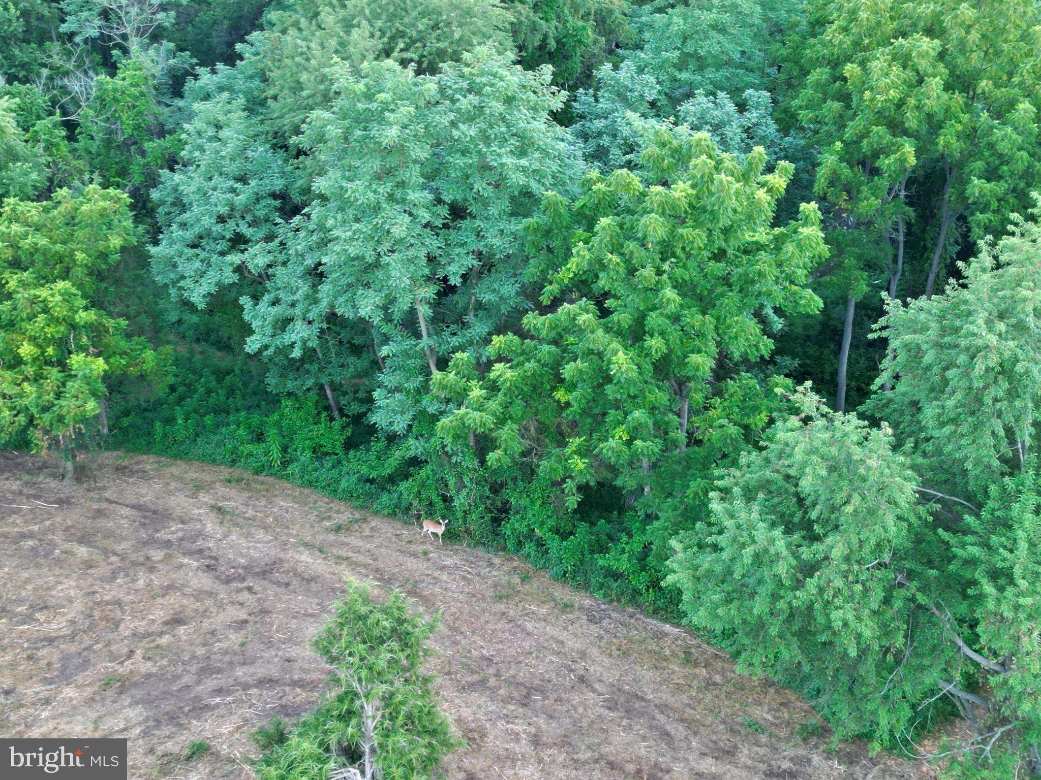 CLARKES GAP ROAD