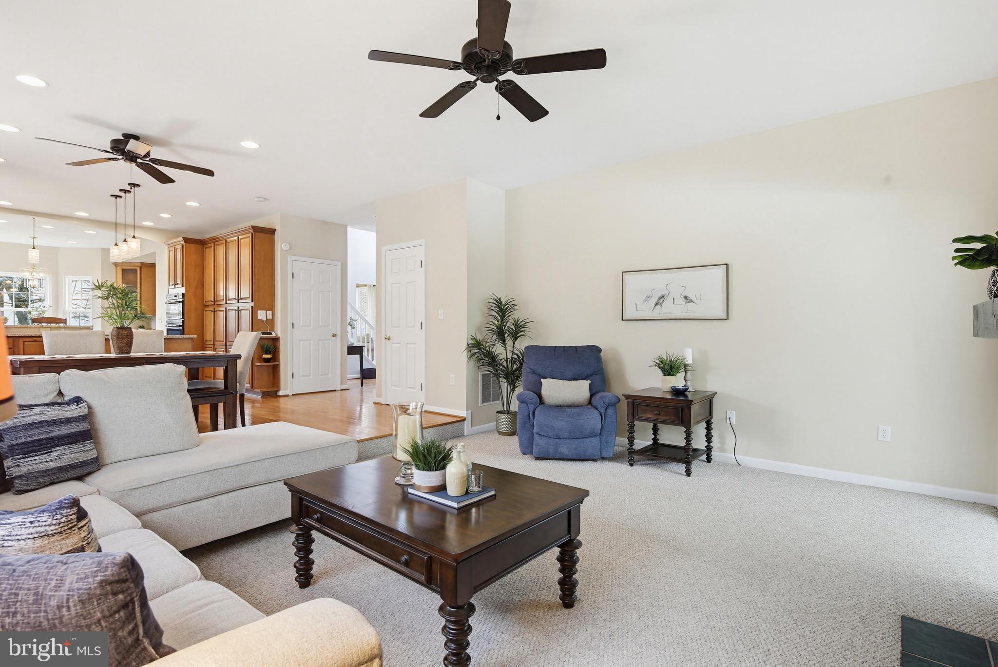 LISA AVENUE ESTATES - Residential