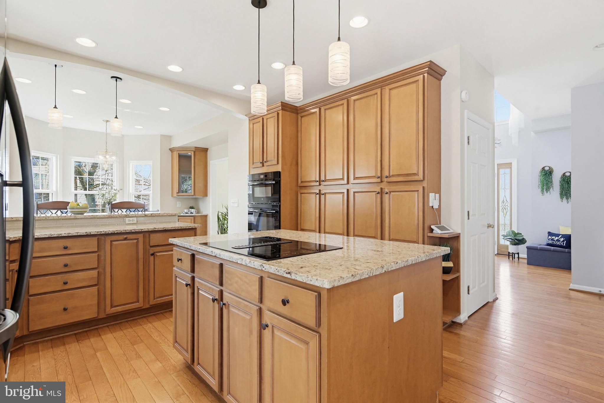 LISA AVENUE ESTATES - Residential